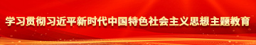 可骚可骚的黄视频网站学习贯彻习近平新时代中国特色社会主义思想主题教育